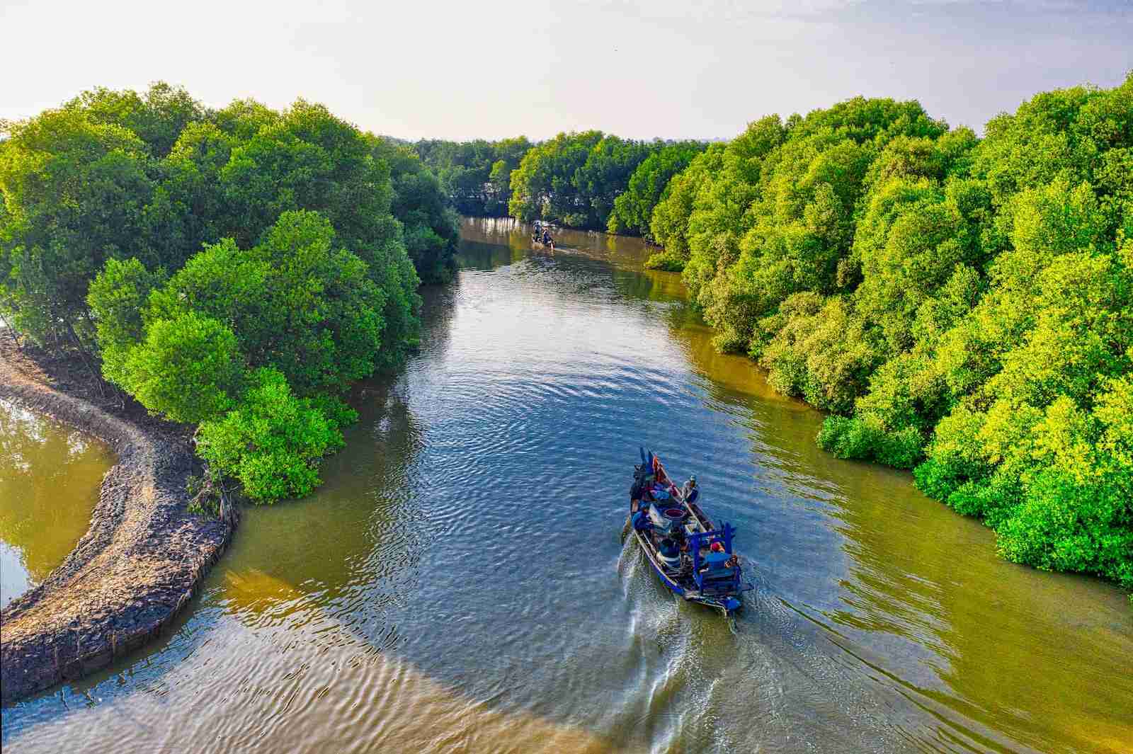 Amazon river with Green Trees