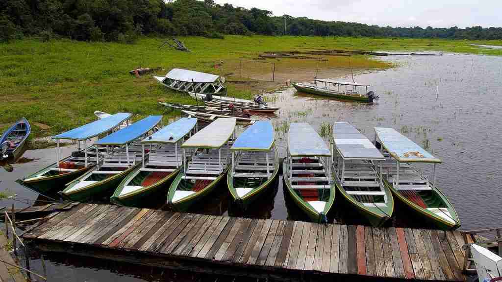 amazon river bank : amazing facts about the amazon river.