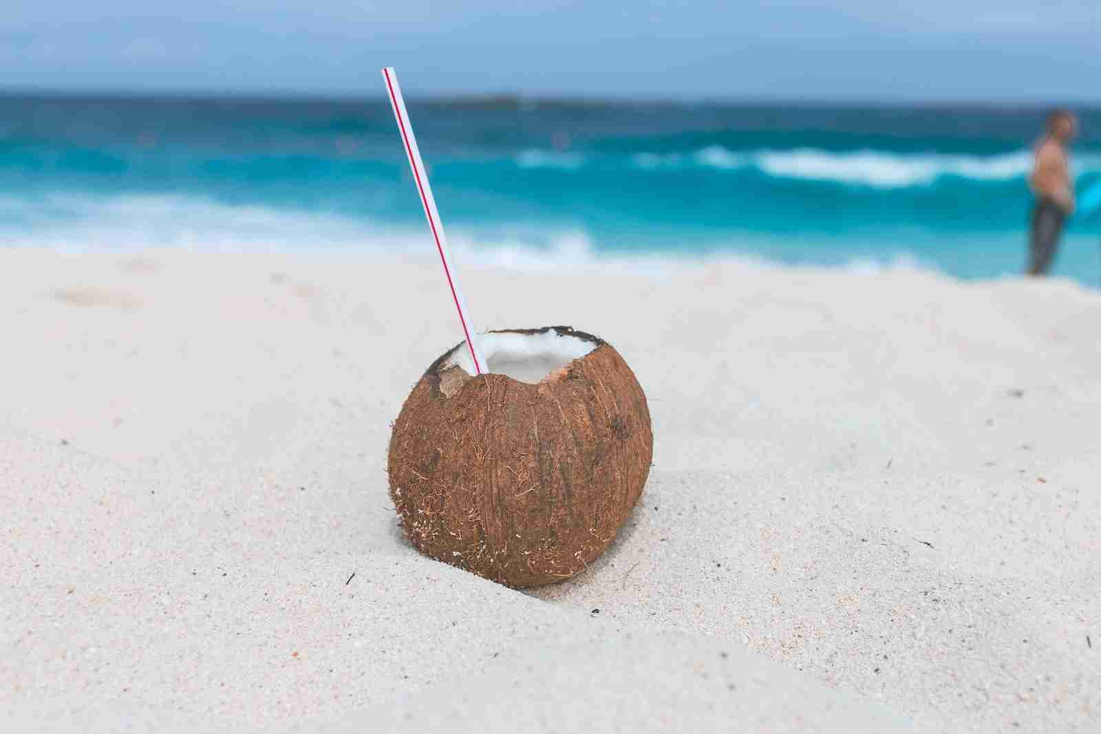 coconut