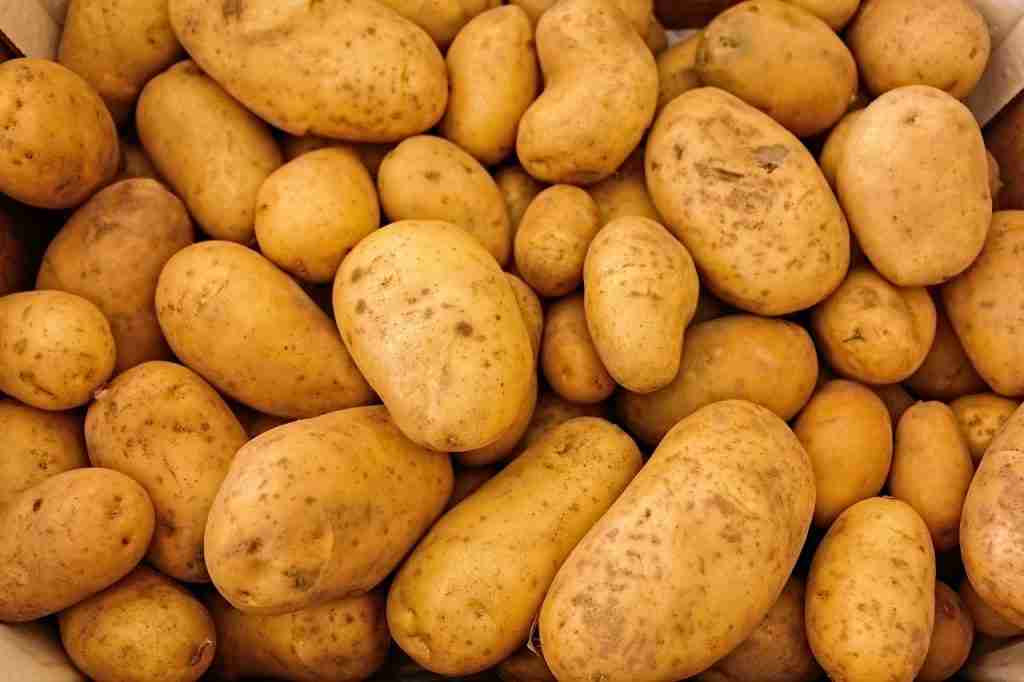 potatoes 