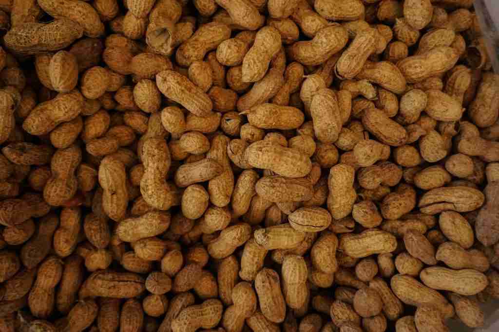  peanuts