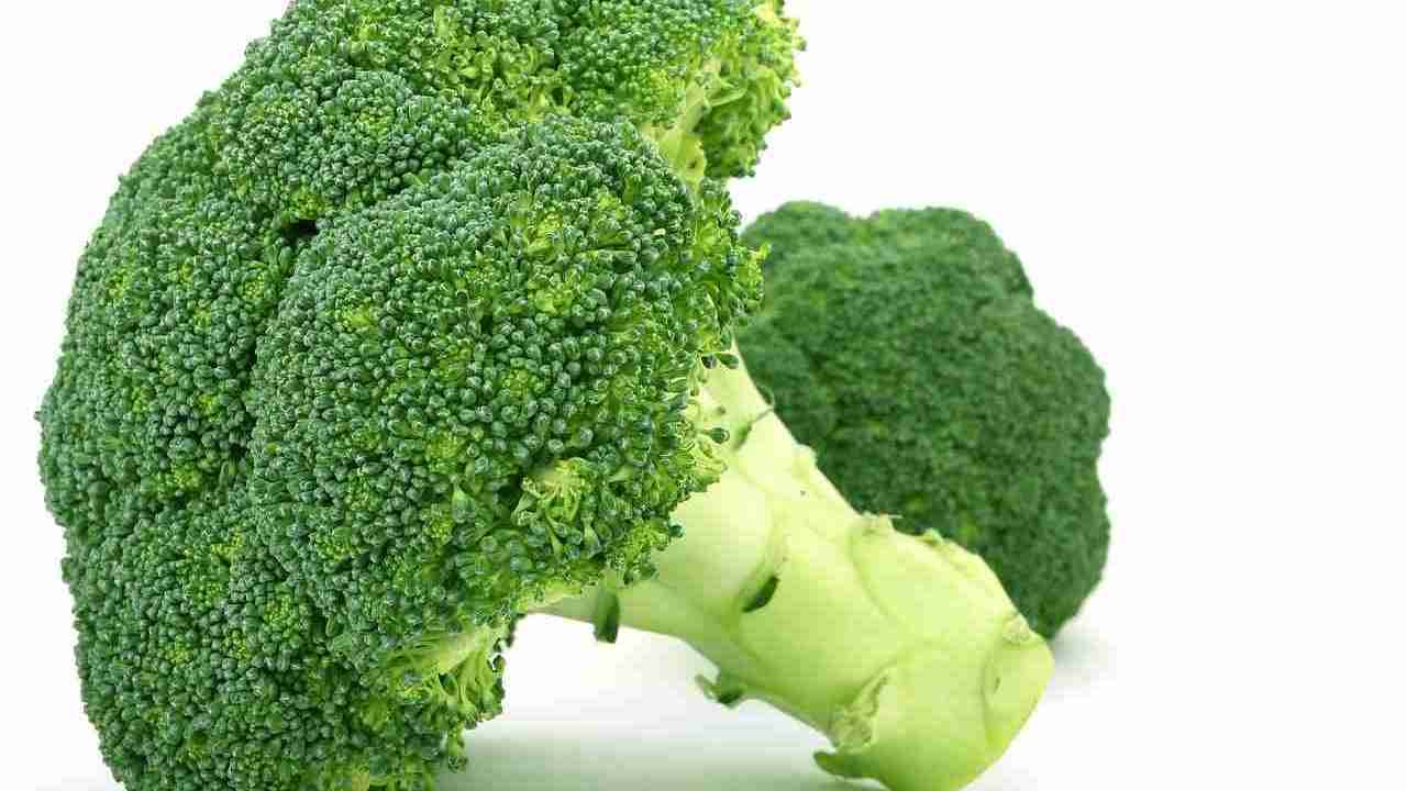 Broccoli the wonder vegetable