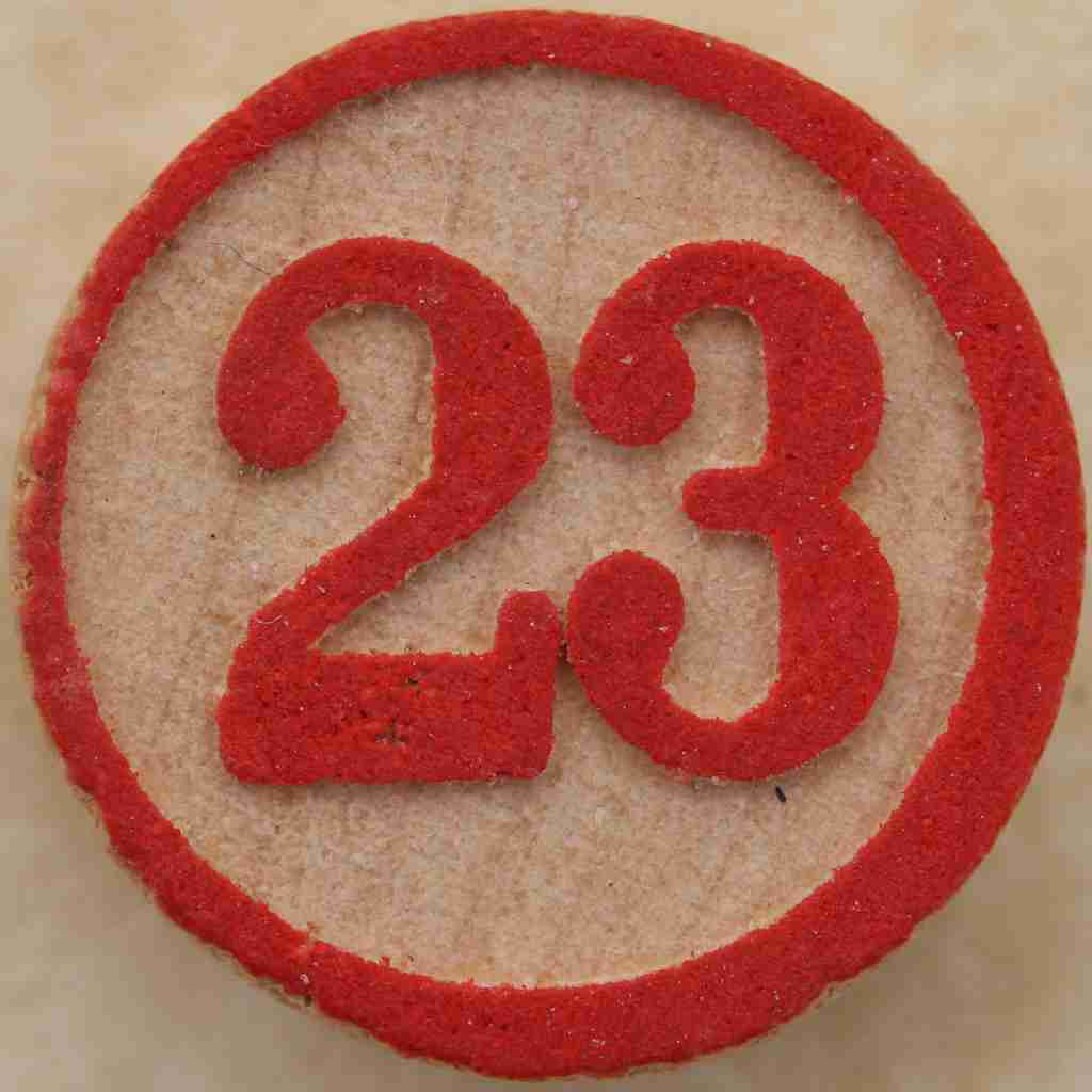 number 23