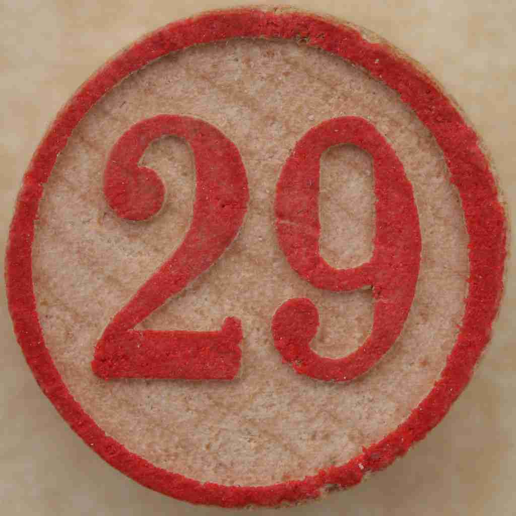 A circle showing number 29 :  Facts About The Number 29