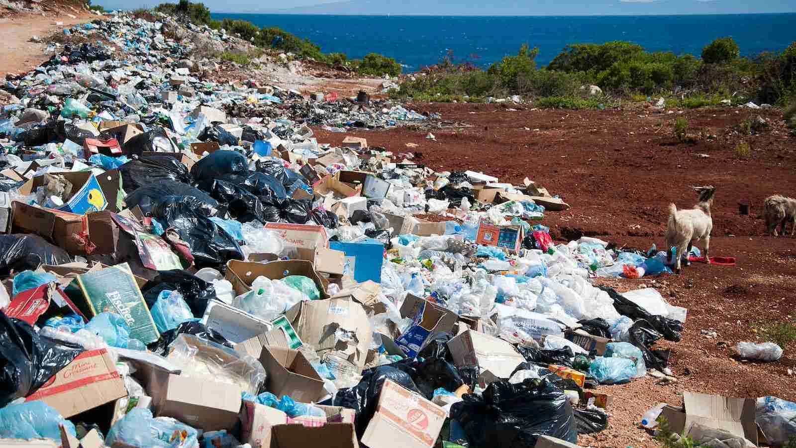 garbage near beach