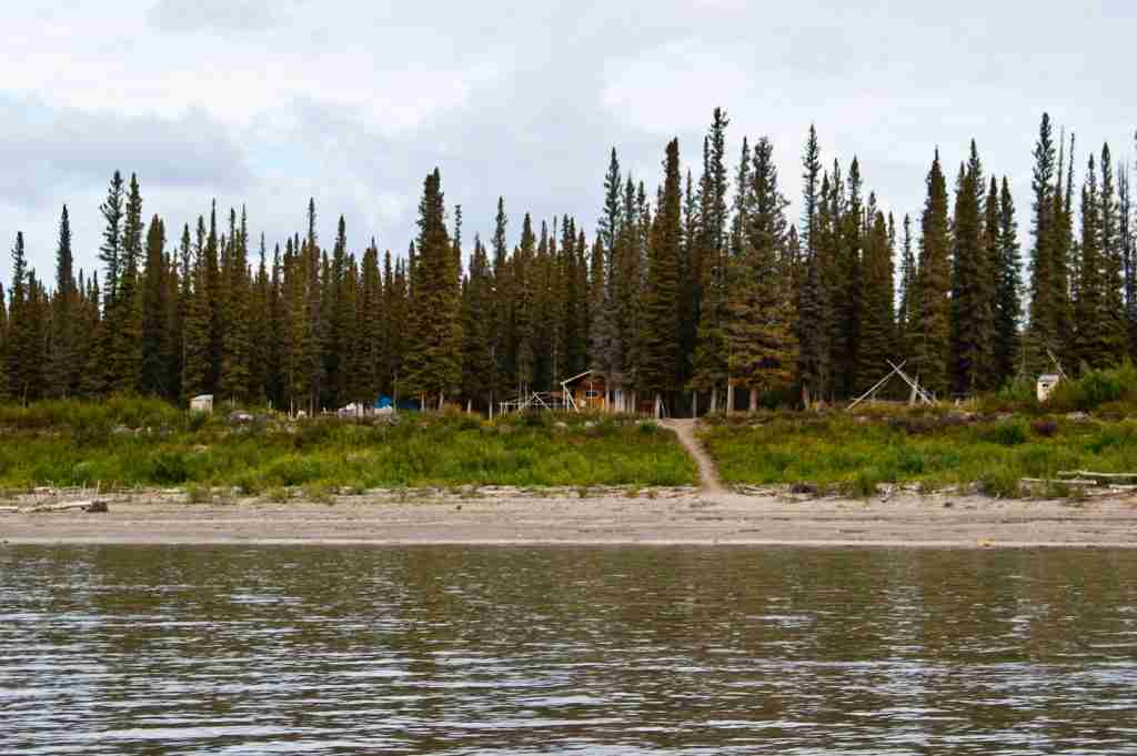 green trees beside body of water : fun facts about Canada