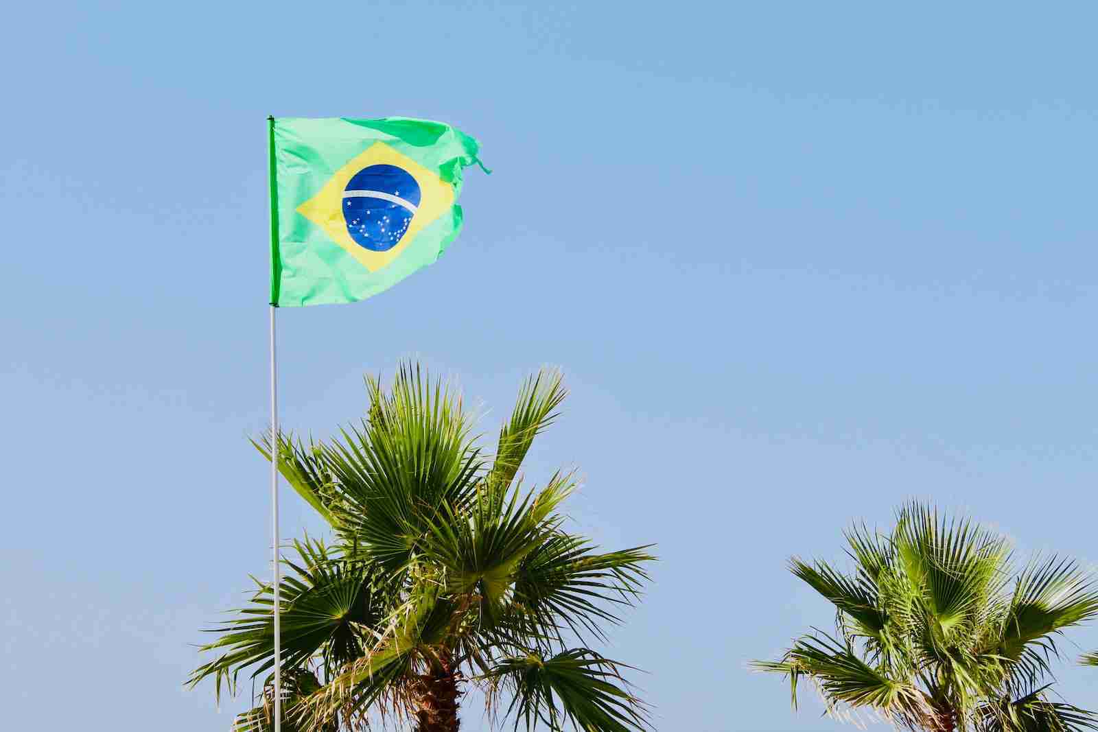 Brazil flag beside green palm trees