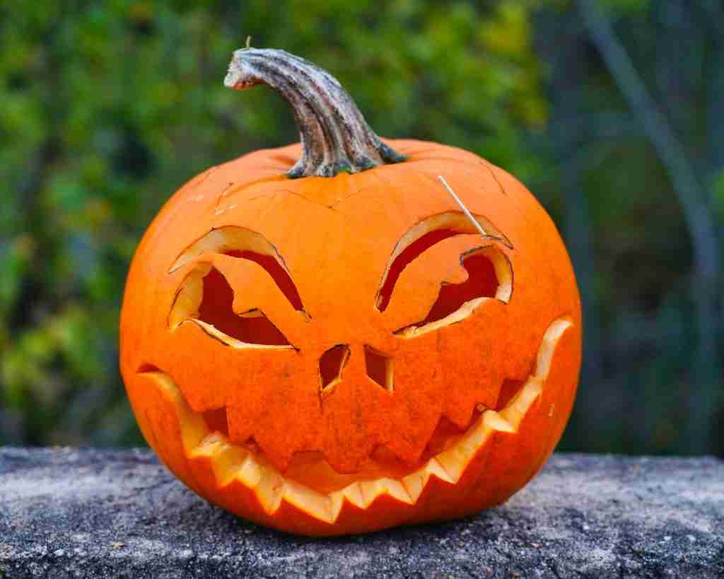 Image of Pumpkin : fun facts about October 