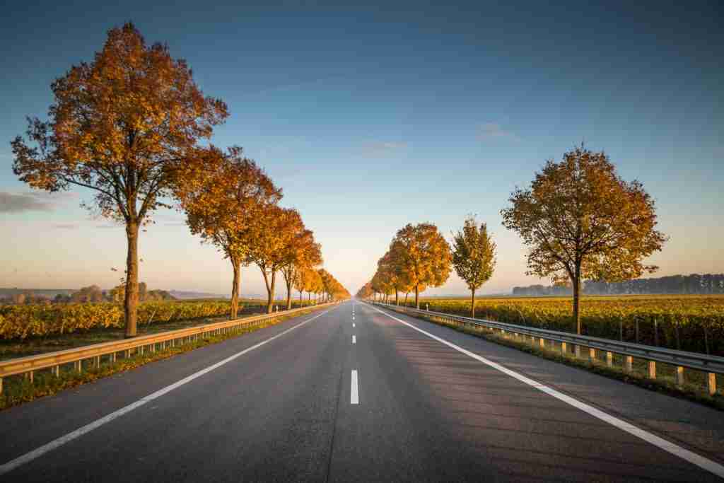 long straight road with trees on the side : fun facts about Germany