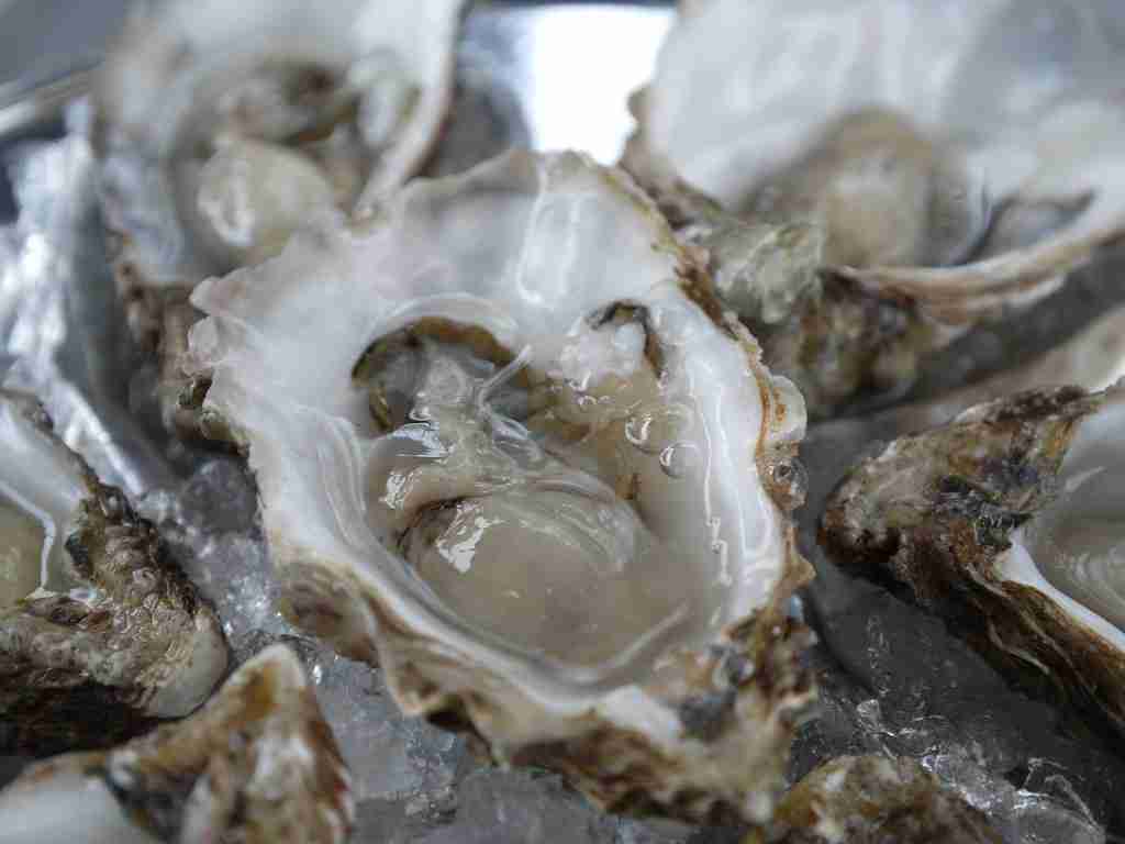 Oyster inside a shell