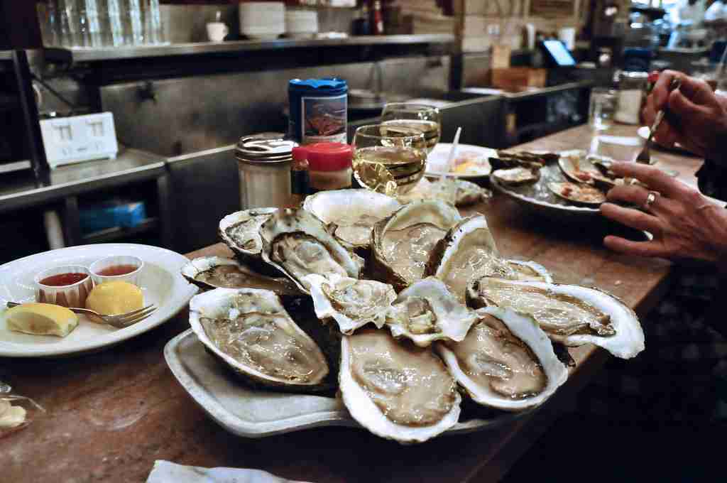 Oysters in kitchen 