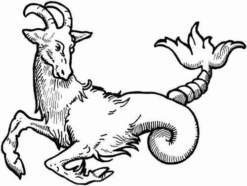 sea goat portrait  : Fun Facts About Capricorn