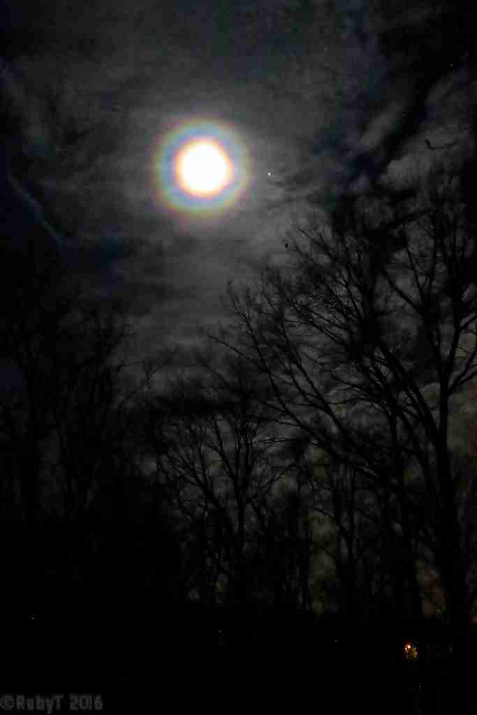 Moonbow