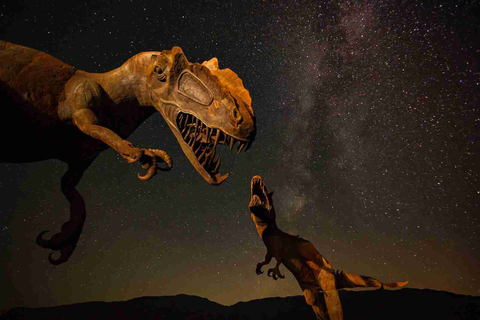 two T-Rex dinosaurs fun facts about dinosaurs