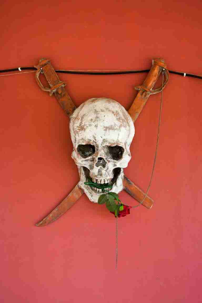 white skull on red wall