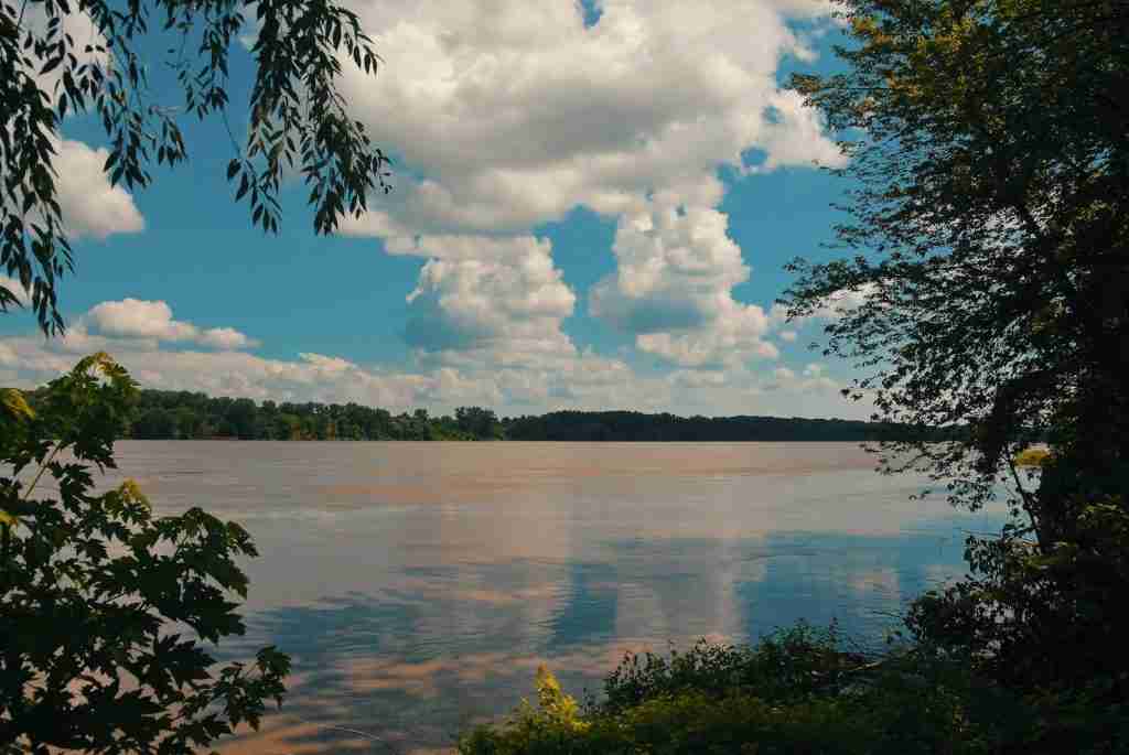 a large body of water surrounded by trees