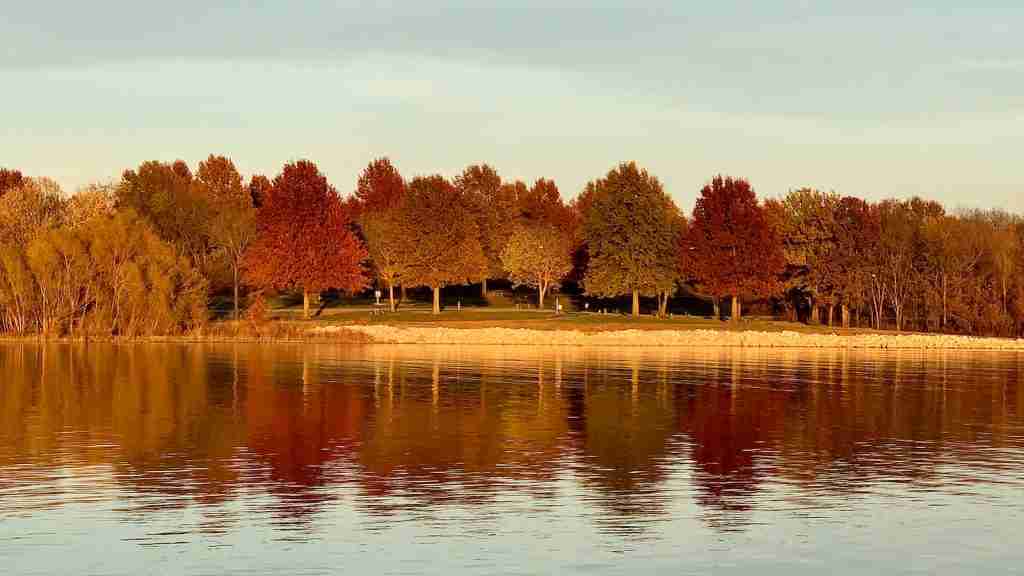 a body of water surrounded by lots of trees