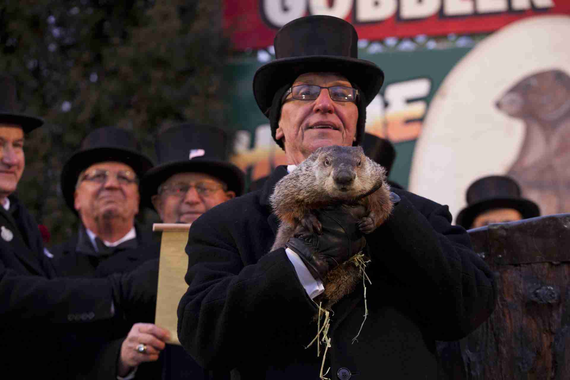 fun facts about groundhog day