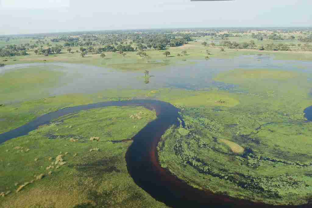 Okavango Delta: fun facts about world