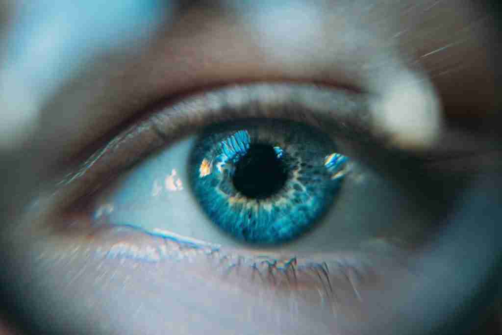 blue eye photo: Fun Facts about human body