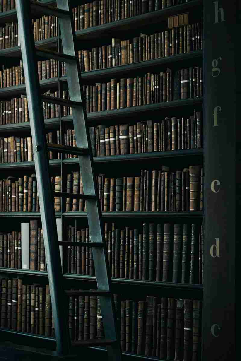 library shelf near black wooden ladder