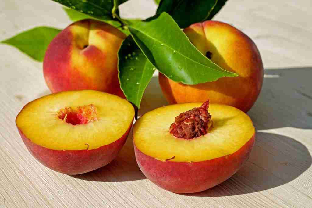 peaches, fruits, food - Fun Facts About Georgia