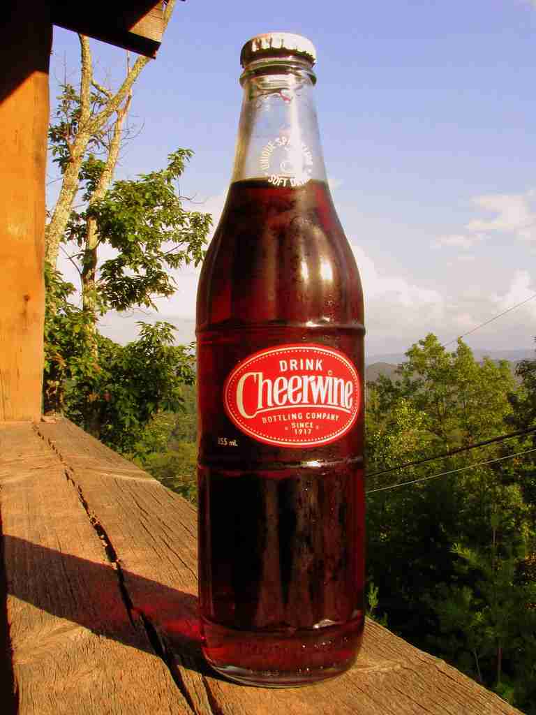 Cheerwine | fun facts about north carolina