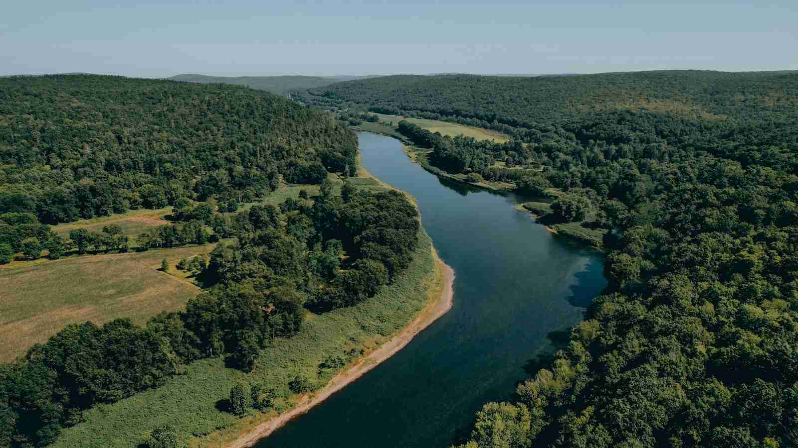 Delaware River running through a forest